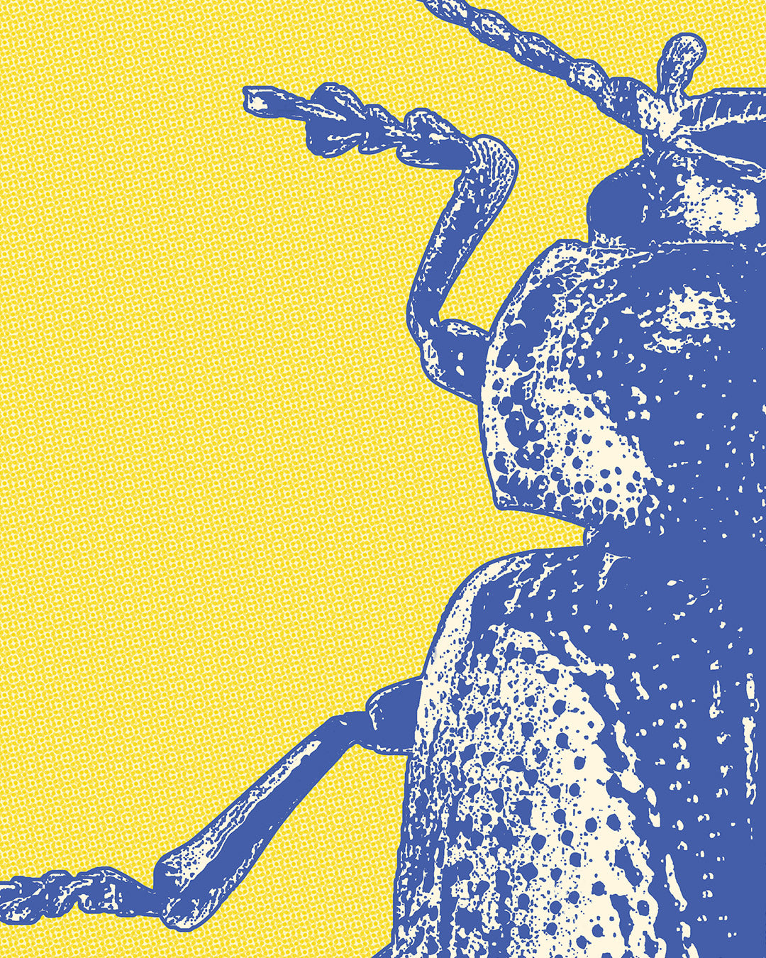 Póster Musical The Beetles - Lámina Decorativa Rock para Pared | Regalo Fan