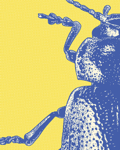 Póster Musical The Beetles - Lámina Decorativa Rock para Pared | Regalo Fan